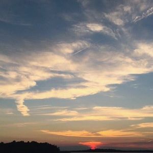 Meet your Posher, Layla